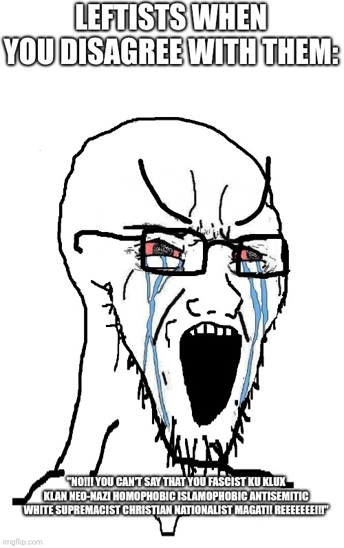 Leftists in a nutshell | LEFTISTS WHEN YOU DISAGREE WITH THEM:; "NO!!! YOU CAN'T SAY THAT YOU FASCIST KU KLUX KLAN NEO-NAZI HOMOPHOBIC ISLAMOPHOBIC ANTISEMITIC WHITE SUPREMACIST CHRISTIAN NATIONALIST MAGAT!! REEEEEEE!!!" | image tagged in crying sojack | made w/ Imgflip meme maker