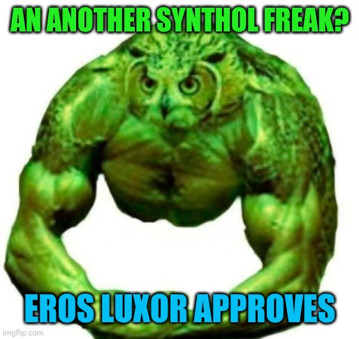 Synthol freak? Eros approves | AN ANOTHER SYNTHOL FREAK? EROS LUXOR APPROVES | image tagged in buff duolingo | made w/ Imgflip meme maker