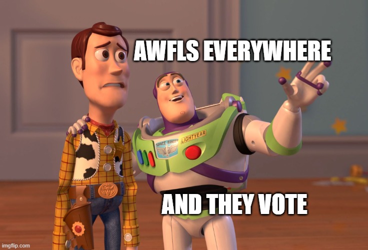 X, X Everywhere Meme | AWFLS EVERYWHERE AND THEY VOTE | image tagged in memes,x x everywhere | made w/ Imgflip meme maker