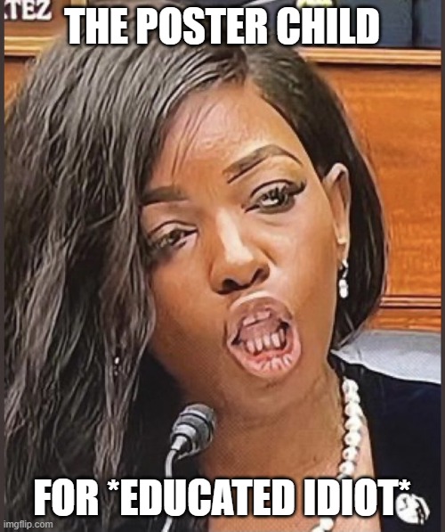 Jasmine Crockett | THE POSTER CHILD FOR *EDUCATED IDIOT* | image tagged in jasmine crockett | made w/ Imgflip meme maker