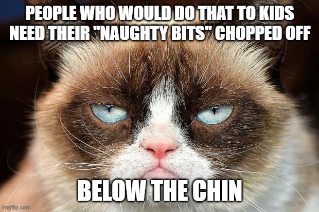 Grumpy Cat Not Amused Meme | PEOPLE WHO WOULD DO THAT TO KIDS NEED THEIR "NAUGHTY BITS" CHOPPED OFF BELOW THE CHIN | image tagged in memes,grumpy cat not amused,grumpy cat | made w/ Imgflip meme maker