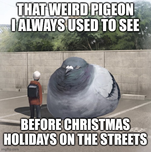 Beeg Birb | THAT WEIRD PIGEON I ALWAYS USED TO SEE; BEFORE CHRISTMAS HOLIDAYS ON THE STREETS | image tagged in beeg birb | made w/ Imgflip meme maker