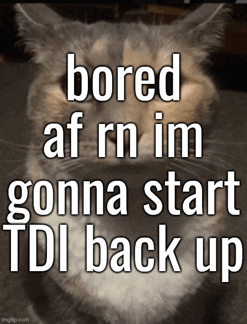 cat dead stare | bored af rn im gonna start TDI back up | image tagged in cat dead stare | made w/ Imgflip meme maker