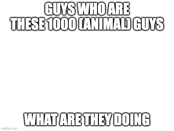 GUYS WHO ARE THESE 1000 (ANIMAL) GUYS; WHAT ARE THEY DOING | made w/ Imgflip meme maker