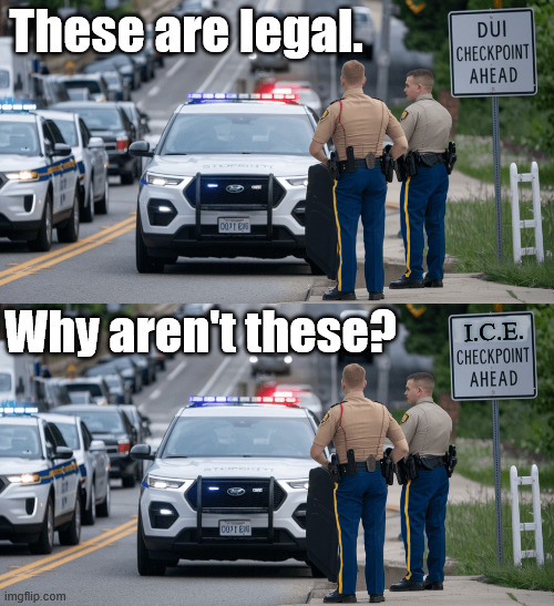 Things that make you go  hhhmmm. | These are legal. Why aren't these? I.C.E. | made w/ Imgflip meme maker