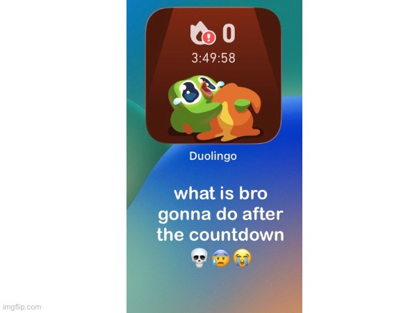 Duo | image tagged in duolingo | made w/ Imgflip meme maker