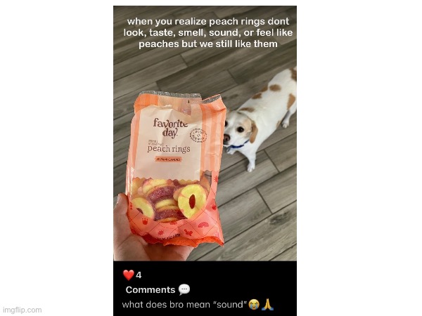 No title | image tagged in memes | made w/ Imgflip meme maker