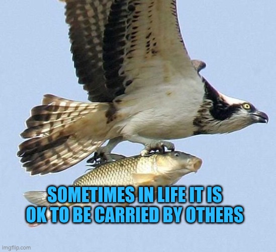 Sometimes in life it is OK to be carried by others | SOMETIMES IN LIFE IT IS OK TO BE CARRIED BY OTHERS | image tagged in support,carry,help,autism,mental health | made w/ Imgflip meme maker