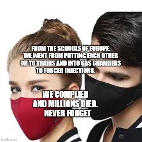 Mask Couple | FROM THE SCHOOLS OF EUROPE. WE WENT FROM PUTTING EACH OTHER ON TO TRAINS AND INTO GAS CHAMBERS TO FORCED INJECTIONS. WE COMPLIED AND MILLIONS DIED.     NEVER FORGET | image tagged in mask couple | made w/ Imgflip meme maker