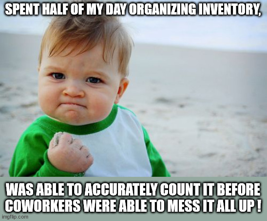 Merchandiser Win | SPENT HALF OF MY DAY ORGANIZING INVENTORY, WAS ABLE TO ACCURATELY COUNT IT BEFORE COWORKERS WERE ABLE TO MESS IT ALL UP ! | image tagged in memes,success kid original,merchandiser,inventory,messy workers,success | made w/ Imgflip meme maker