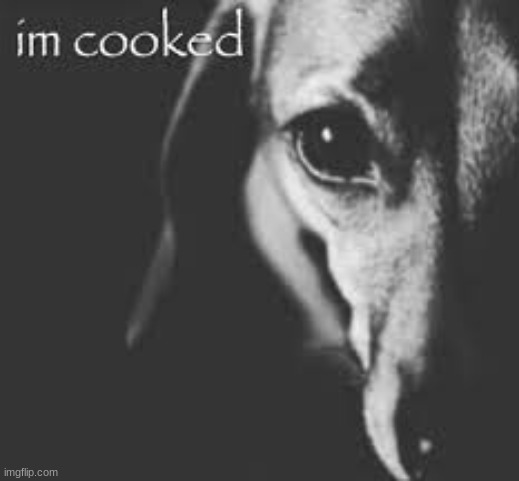 i wish cyrus kept the fucking stream private earlier this year. | made w/ Imgflip meme maker