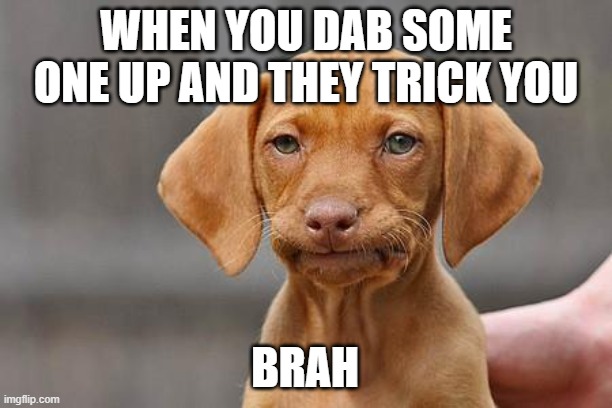 Dissapointed puppy | WHEN YOU DAB SOME ONE UP AND THEY TRICK YOU; BRAH | image tagged in dissapointed puppy | made w/ Imgflip meme maker