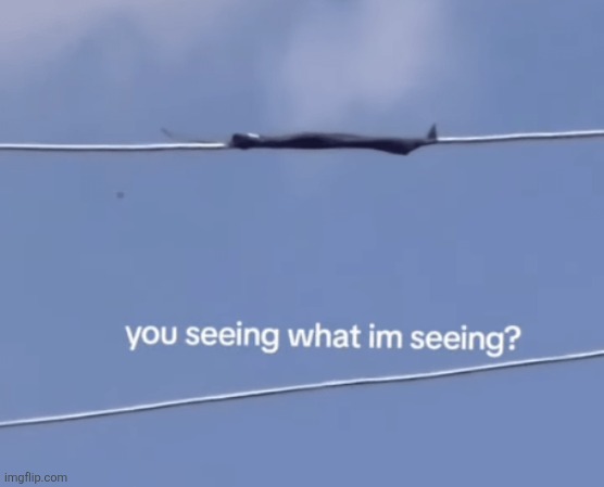 saddam hussein? | made w/ Imgflip meme maker