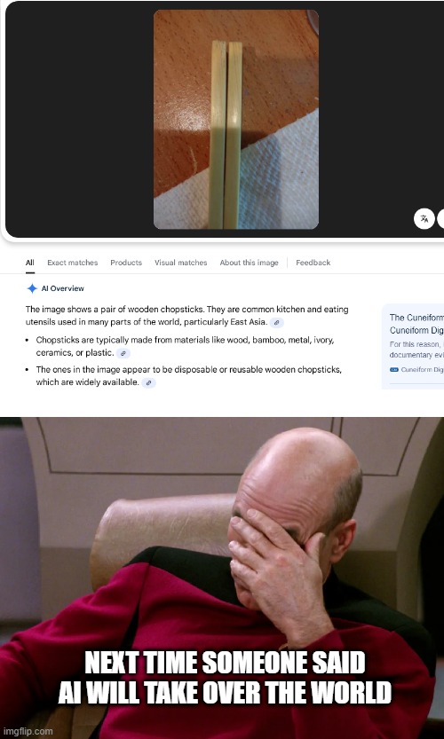 How do you mistake these for wooden chopsticks? | NEXT TIME SOMEONE SAID AI WILL TAKE OVER THE WORLD | image tagged in artificial intelligence,google,captain picard facepalm,star trek the next generation | made w/ Imgflip meme maker