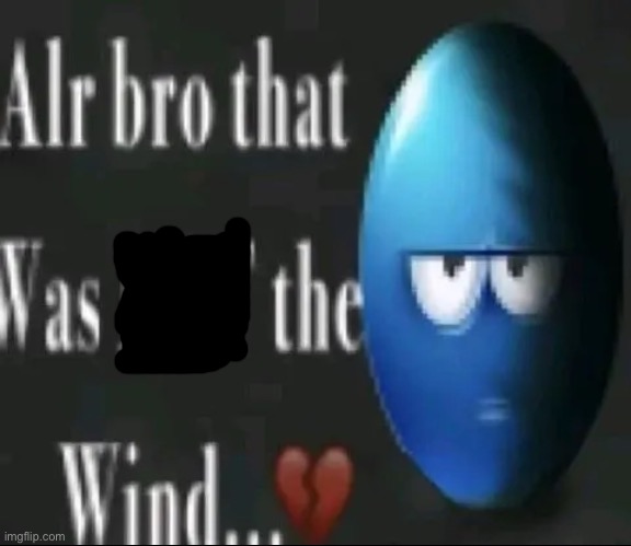 Alr bro that was NOT the wind…</3 | image tagged in alr bro that was not the wind /3 | made w/ Imgflip meme maker