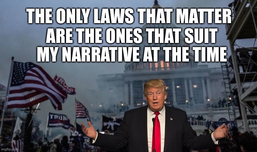misconstrued coup | THE ONLY LAWS THAT MATTER ARE THE ONES THAT SUIT MY NARRATIVE AT THE TIME | image tagged in misconstrued coup | made w/ Imgflip meme maker