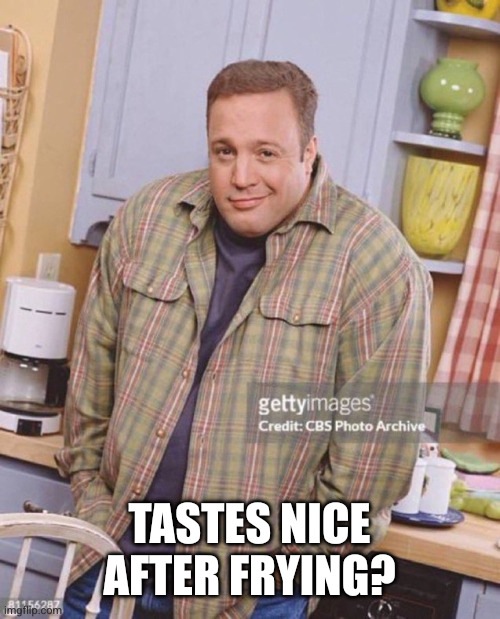 Kevin James | TASTES NICE AFTER FRYING? | image tagged in kevin james | made w/ Imgflip meme maker