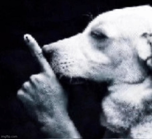 dog shushing | image tagged in dog shushing | made w/ Imgflip meme maker