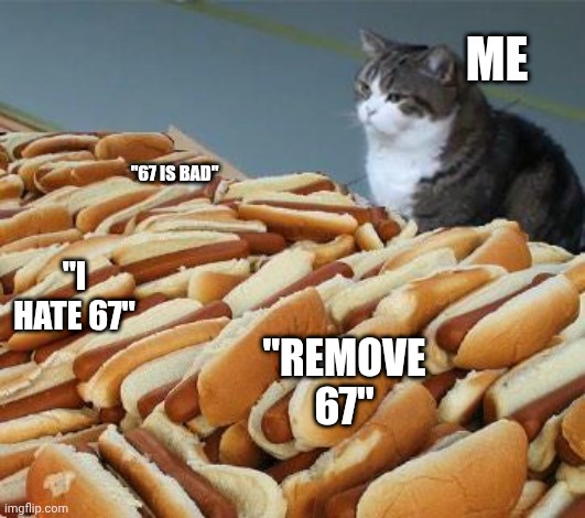 Average imgflip feed | ME; "67 IS BAD"; "I HATE 67"; "REMOVE 67" | image tagged in too many hot dogs,67 | made w/ Imgflip meme maker