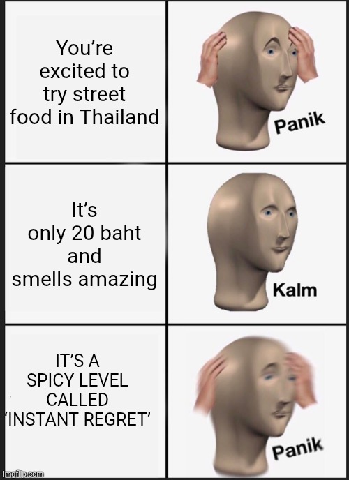Panik kalm panik | You’re excited to try street food in Thailand; It’s only 20 baht and smells amazing; IT’S A SPICY LEVEL CALLED ‘INSTANT REGRET’ | image tagged in memes,panik kalm panik,thailand,spice | made w/ Imgflip meme maker