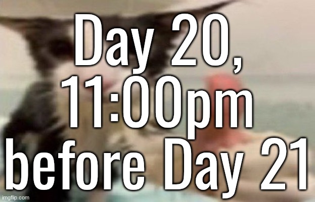 . | Day 20, 11:00pm before Day 21 | image tagged in soggy cat thumbs up | made w/ Imgflip meme maker