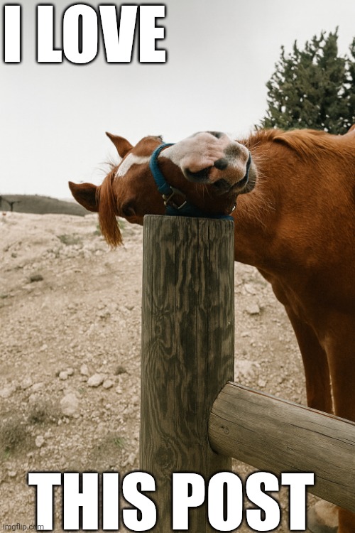 I Love This Post | I LOVE; THIS POST | image tagged in chrisjoines1 | made w/ Imgflip meme maker