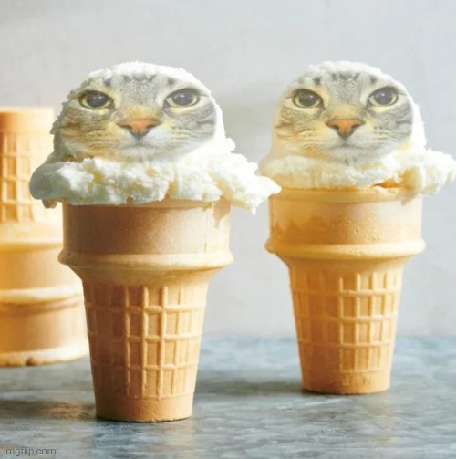 Me n who | made w/ Imgflip meme maker