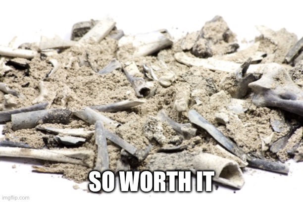Cremated Remains | SO WORTH IT | image tagged in cremated remains | made w/ Imgflip meme maker