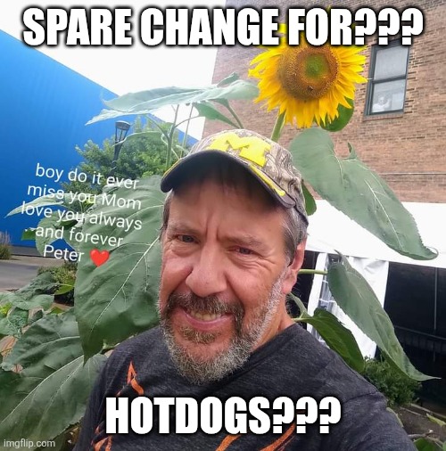 Spare Change For??? | SPARE CHANGE FOR??? HOTDOGS??? | image tagged in peter plant,hotdogs,homeless,hungry,funny,memes | made w/ Imgflip meme maker