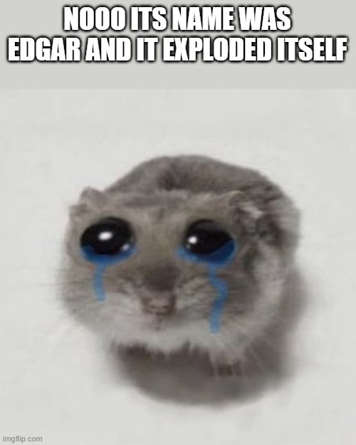 rip puter </3 | NOOO ITS NAME WAS EDGAR AND IT EXPLODED ITSELF | image tagged in sad hamster | made w/ Imgflip meme maker