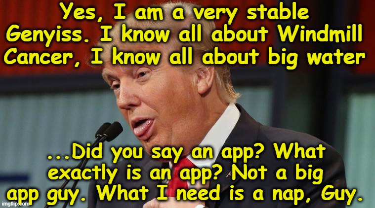 Dumb Trump | Yes, I am a very stable Genyiss. I know all about Windmill Cancer, I know all about big water ...Did you say an app? What exactly is an app? | image tagged in dumb trump | made w/ Imgflip meme maker
