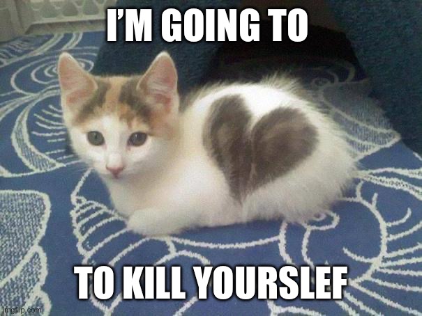 cute cat heart | I’M GOING TO; TO KILL YOURSLEF | image tagged in cute cat heart | made w/ Imgflip meme maker
