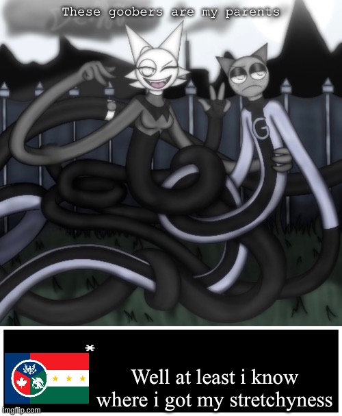 We don't talk about what happened during the night of july 7th | These goobers are my parents; Well at least i know where i got my stretchyness | image tagged in undertale text box | made w/ Imgflip meme maker