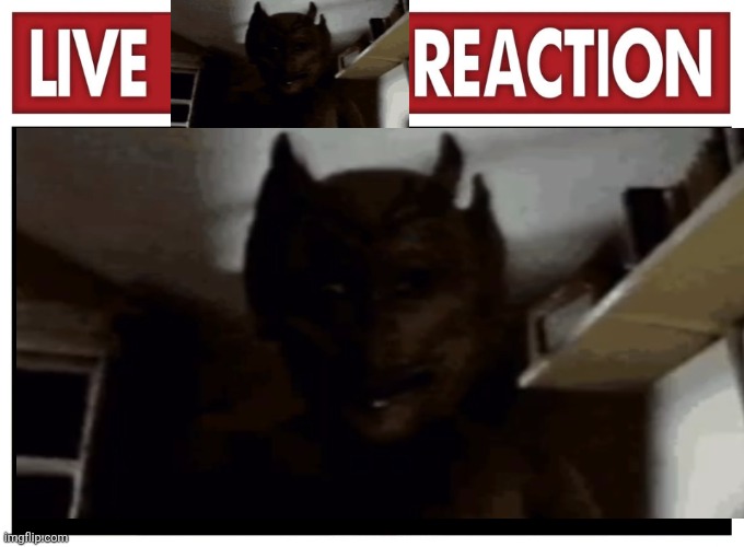 Hehehehehehhehehwh dæmon | image tagged in damon | made w/ Imgflip meme maker