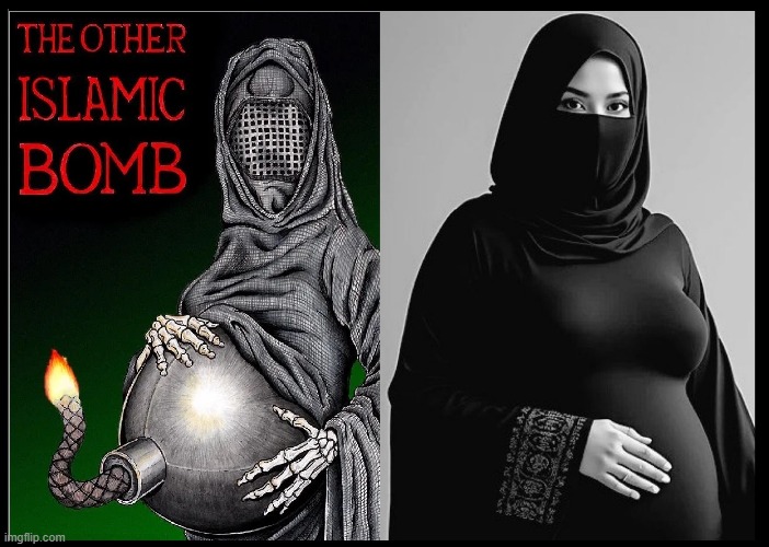 American Women would rather be Progressive than Procreate | image tagged in vince vance,modern women,progressives,sharia law,pregnancy,radical islam | made w/ Imgflip meme maker