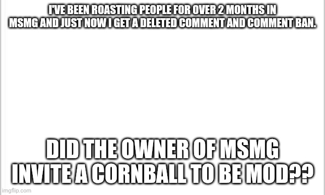 tf happened?? | I'VE BEEN ROASTING PEOPLE FOR OVER 2 MONTHS IN MSMG AND JUST NOW I GET A DELETED COMMENT AND COMMENT BAN. DID THE OWNER OF MSMG INVITE A CORNBALL TO BE MOD?? | image tagged in white background,msmg,bruh | made w/ Imgflip meme maker