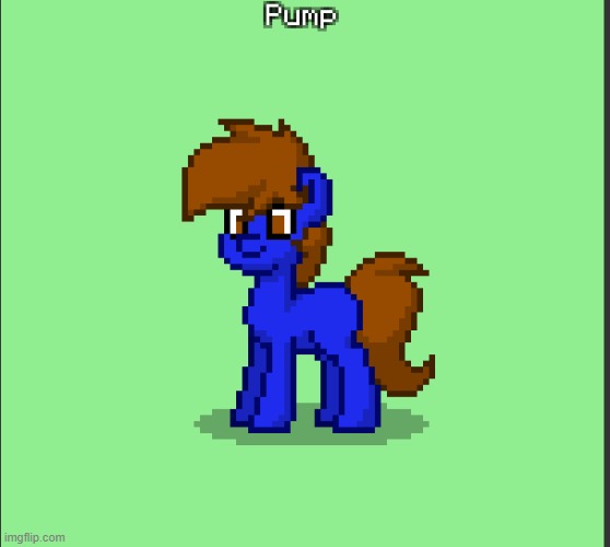 Pony Pump except in Pony Town | image tagged in pony pump except in pony town | made w/ Imgflip meme maker
