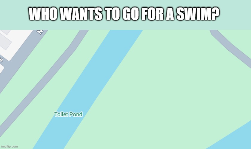 Toilet Pond | WHO WANTS TO GO FOR A SWIM? | image tagged in memes,google maps,ponds | made w/ Imgflip meme maker