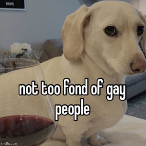 not too fond of gay people | image tagged in not too fond of gay people | made w/ Imgflip meme maker