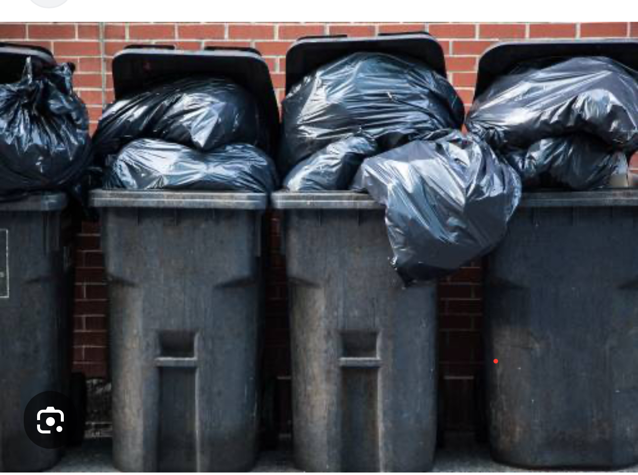 Tragic trash can situation Blank Meme Template