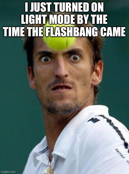 perfect timing | I JUST TURNED ON LIGHT MODE BY THE TIME THE FLASHBANG CAME | image tagged in perfect timing | made w/ Imgflip meme maker