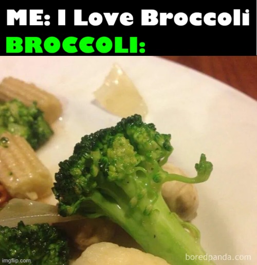 How a Floret of Broccoli Cured my Veganism | image tagged in vince vance,broccoli,vegetables,chinese food,memes,vegans | made w/ Imgflip meme maker