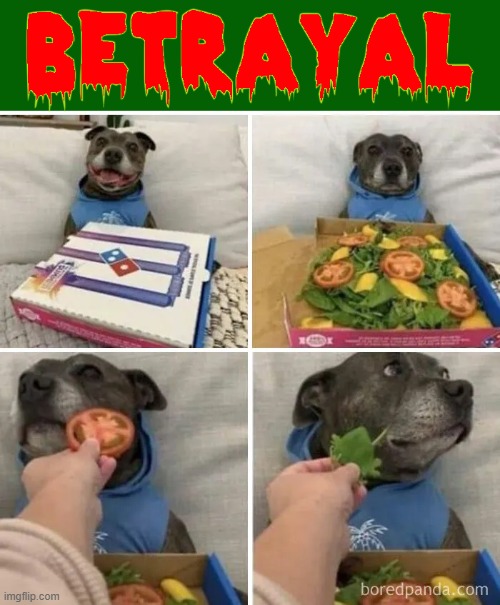 Dogs, just say, "NO!" to Salads! | image tagged in vince vance,dogs,meat,salads,vegans,betrayal | made w/ Imgflip meme maker