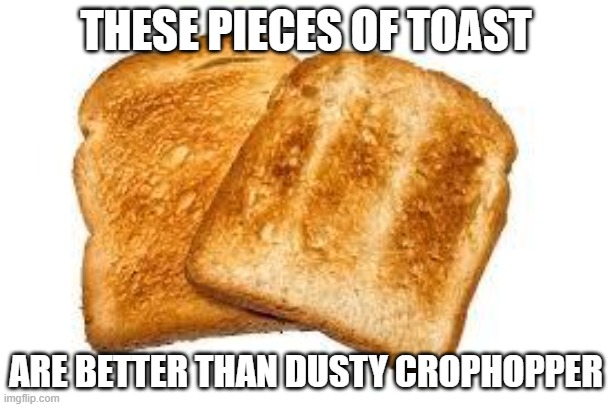 Toast | THESE PIECES OF TOAST; ARE BETTER THAN DUSTY CROPHOPPER | image tagged in toast | made w/ Imgflip meme maker
