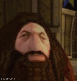 Hagrid.... | image tagged in gifs,hagrid | made w/ Imgflip images-to-gif maker
