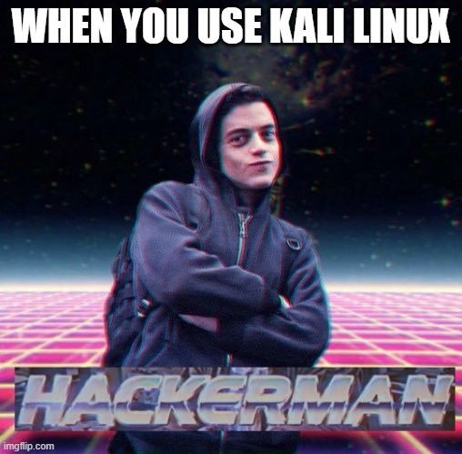 Linux | WHEN YOU USE KALI LINUX | image tagged in hackerman | made w/ Imgflip meme maker