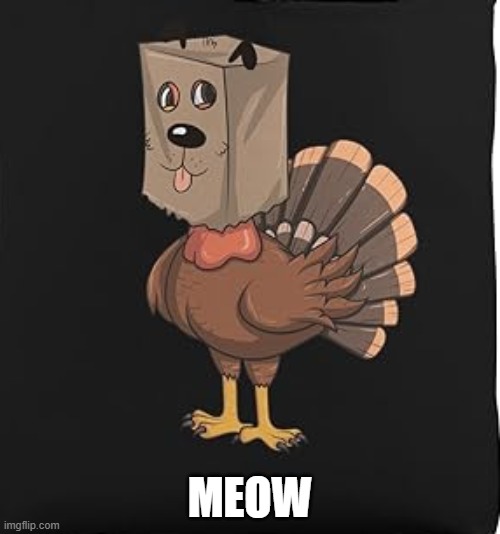 Funny Thanksgiving meme: A turkey in disguise. | MEOW | image tagged in funny,humor,thanksgiving,turkey,disguise | made w/ Imgflip meme maker