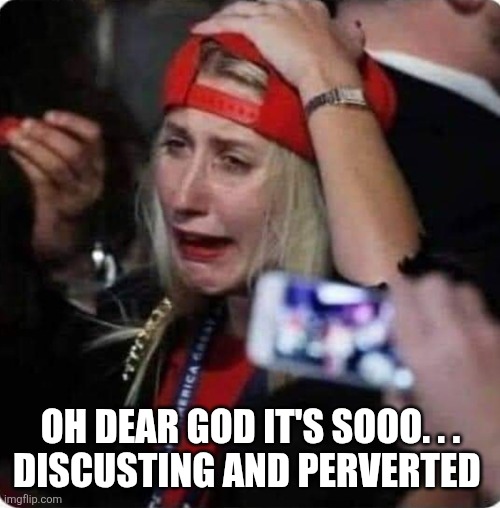 Trump supporter crying ? | OH DEAR GOD IT'S SOOO. . .
DISCUSTING AND PERVERTED | image tagged in trump supporter crying | made w/ Imgflip meme maker