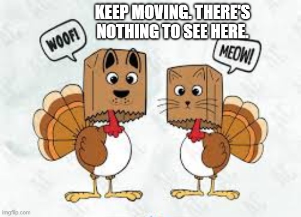 Turkeys in cat and dog disguises for Thanksgiving | KEEP MOVING. THERE'S NOTHING TO SEE HERE. | image tagged in cat,kittens,funny,humor,thanksgiving,turkey | made w/ Imgflip meme maker