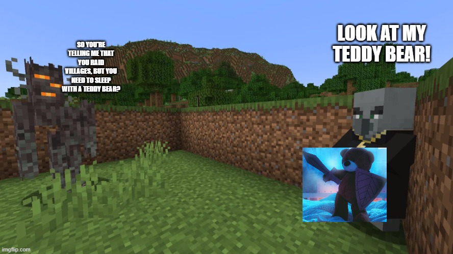 Evoker Running Away From Creaking | SO YOU'RE TELLING ME THAT YOU RAID VILLAGES, BUT YOU NEED TO SLEEP WITH A TEDDY BEAR? LOOK AT MY TEDDY BEAR! | image tagged in evoker running away from creaking | made w/ Imgflip meme maker